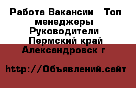 Работа Вакансии - Топ-менеджеры, Руководители. Пермский край,Александровск г.